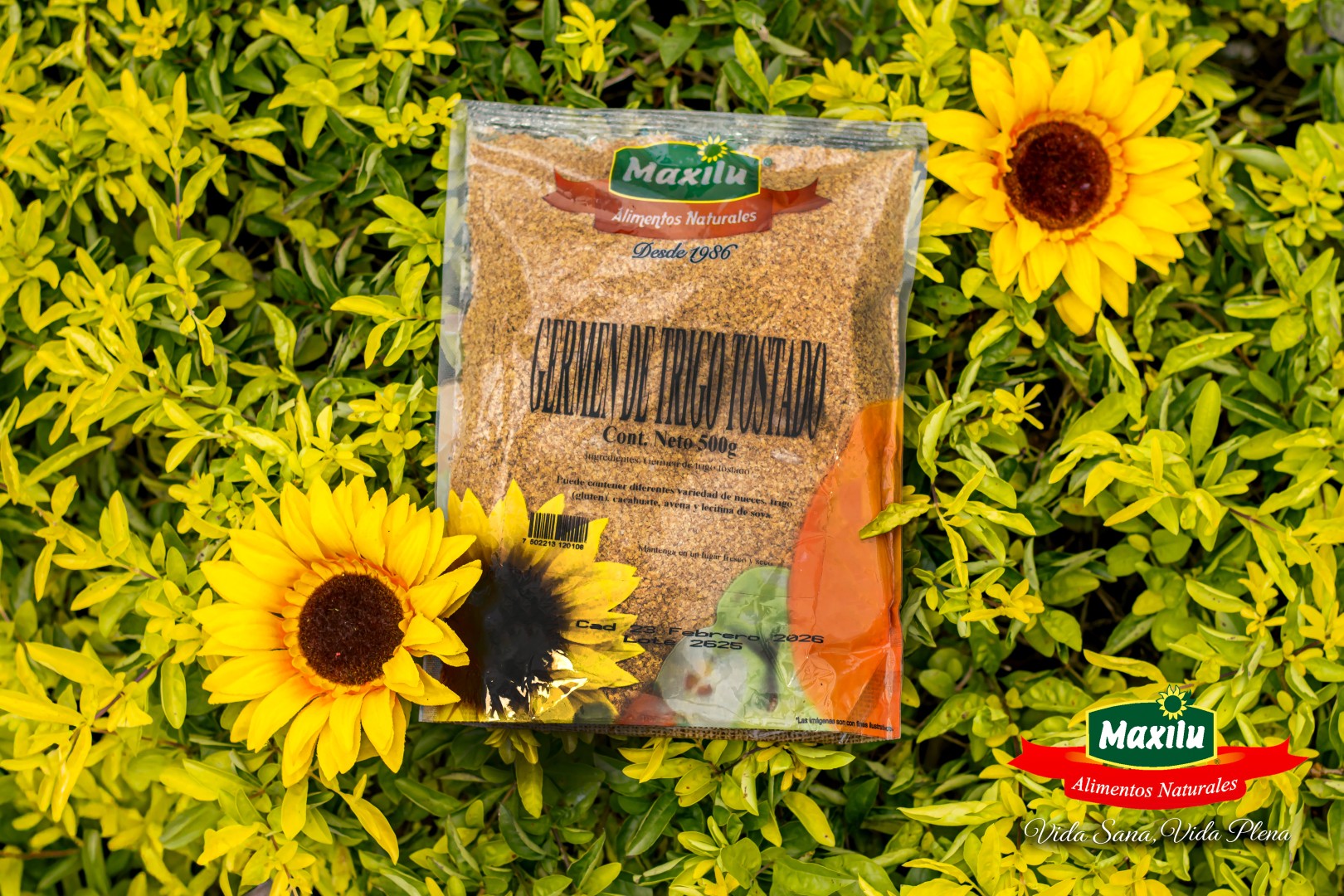 Germen de trigo Natural